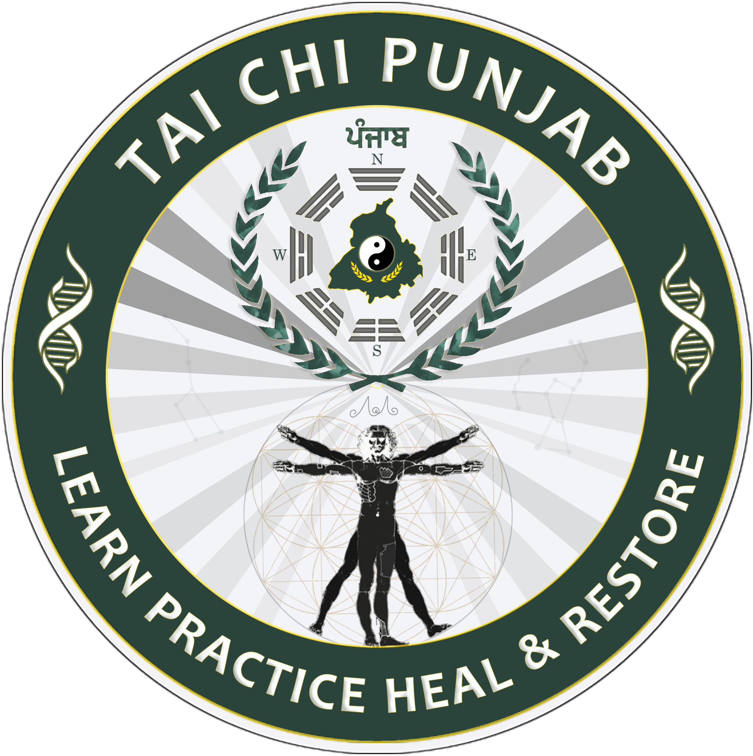 Tai Chi Punjab Logo