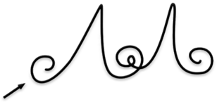 Bio Signature Cards