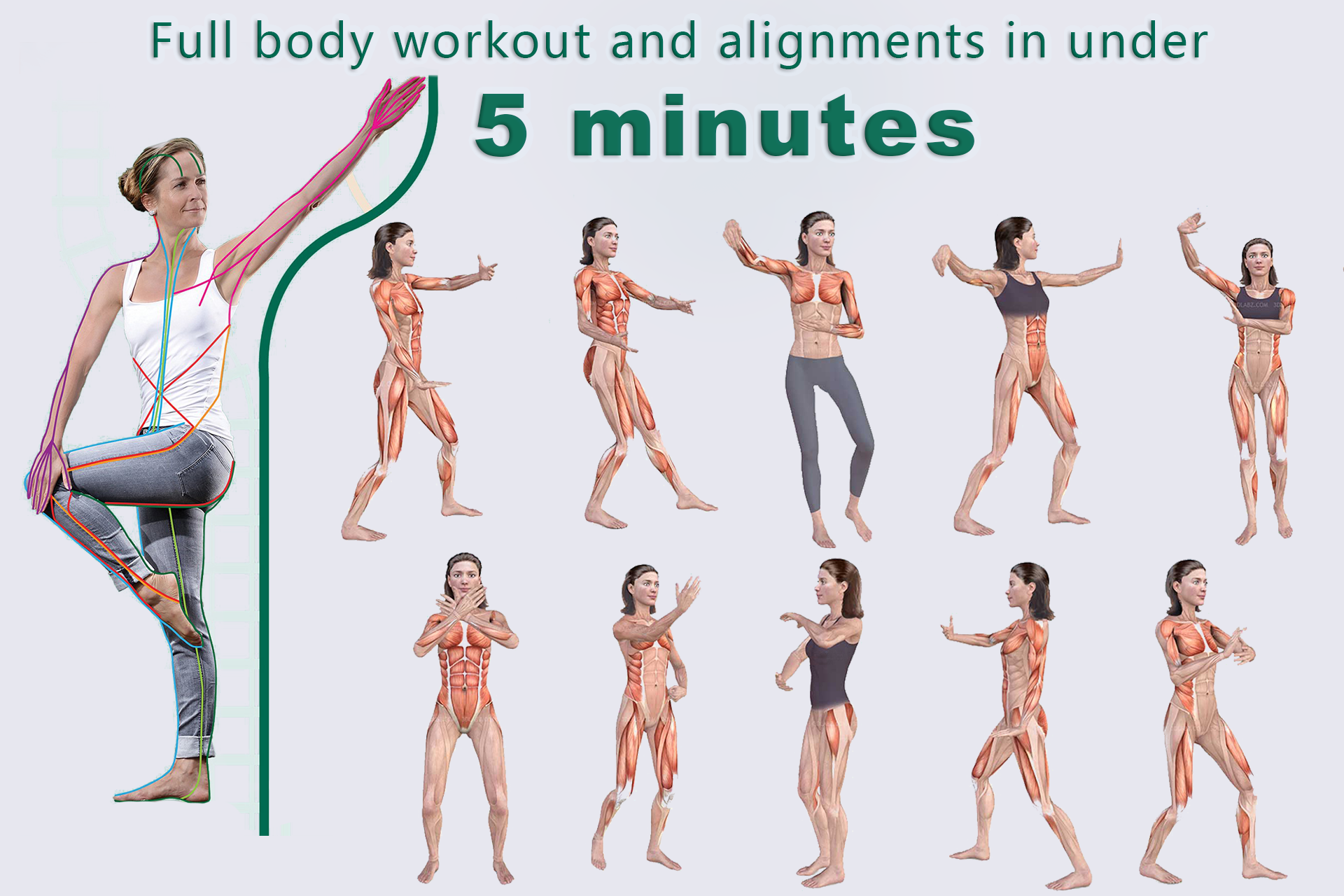 fullBodyworkout