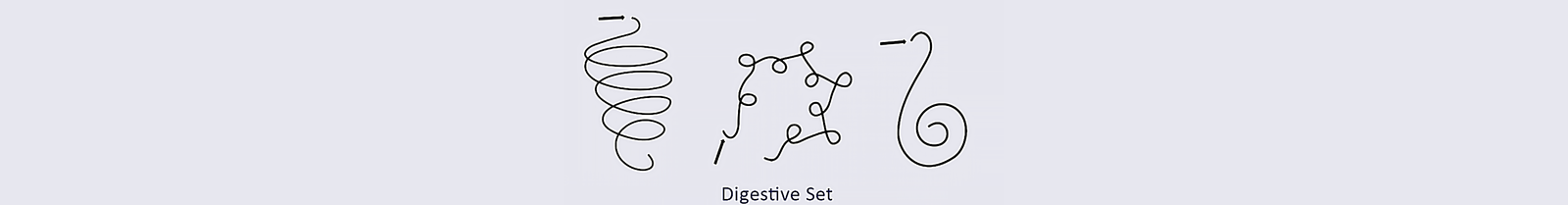 Gans plasma water CO2 Transform your water with Plasma GaNS