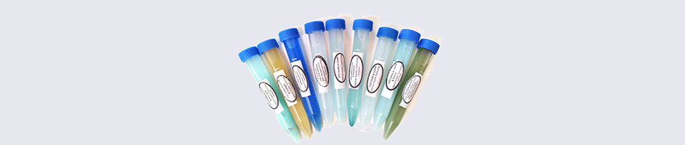 Co2 CH3 COHN plasma generator