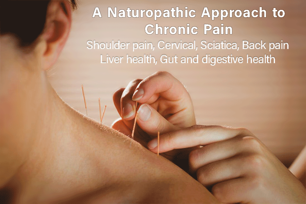 A Naturopathic approcach to Chronic pain - Shoulder pain, Cervical, Sciatica, Back pain, Liver Health, Gut and digestive health
