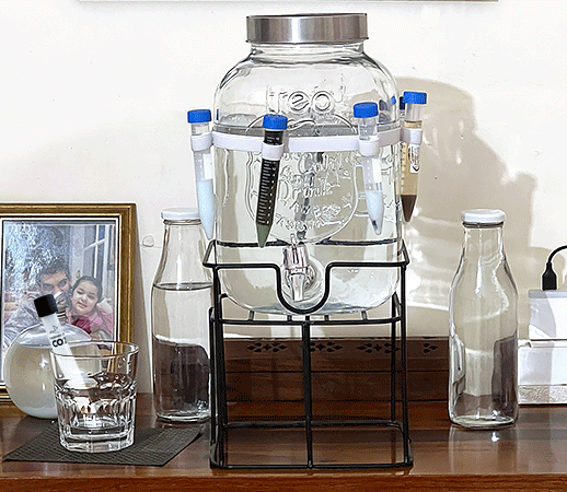 CO2 plasma GANS Supports cell communication, energy balance, and overall well-being, while contributing to comfort and organ function.